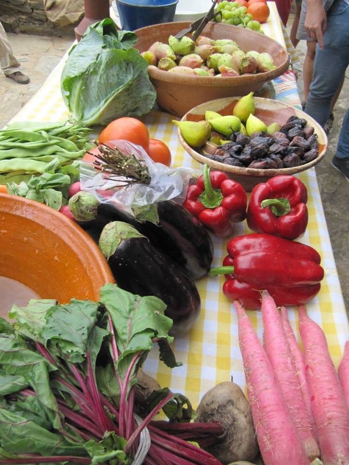 Concurso para Peqeunos Investimentos Agrícolas